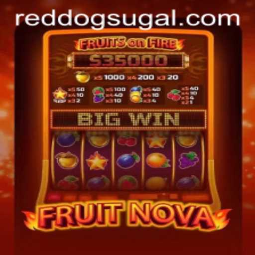 Exciting Adventures with FruitNova at Red Dog Casino